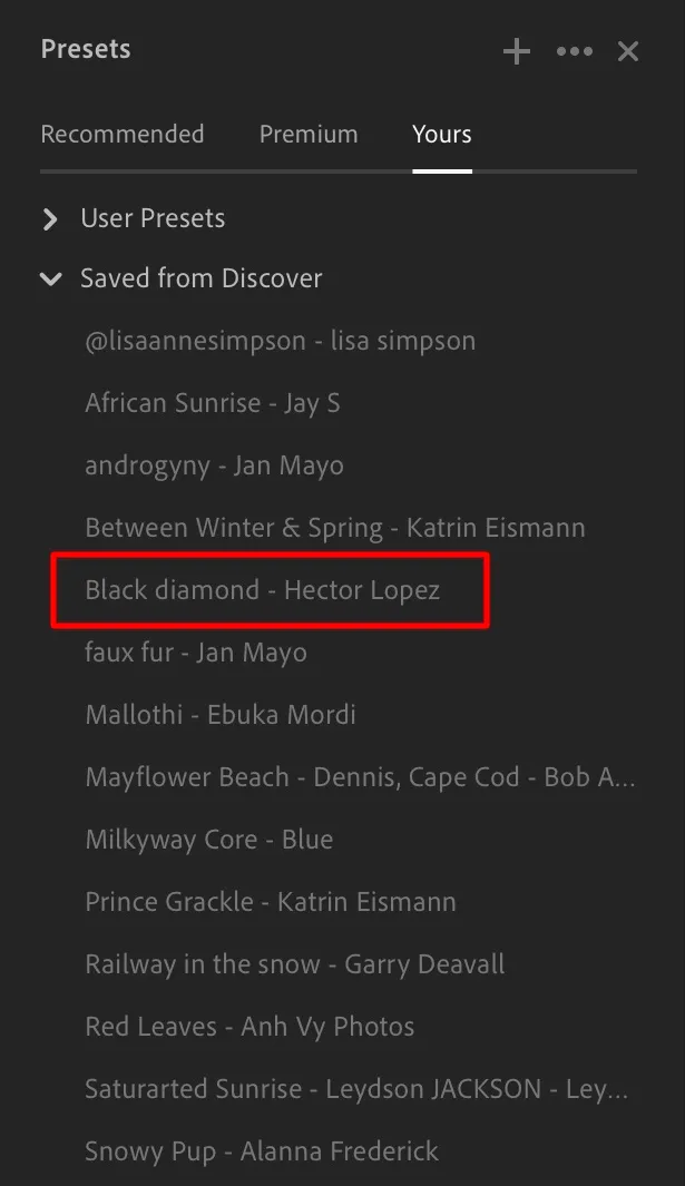 The Saved from Discover menu in Lightroom's presets panel contains saved presets from the Discover Edits tool.