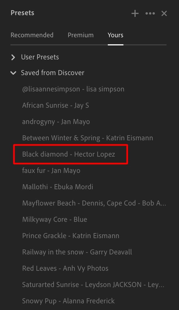 The Saved from Discover menu in Lightroom's presets panel contains saved presets from the Discover Edits tool.