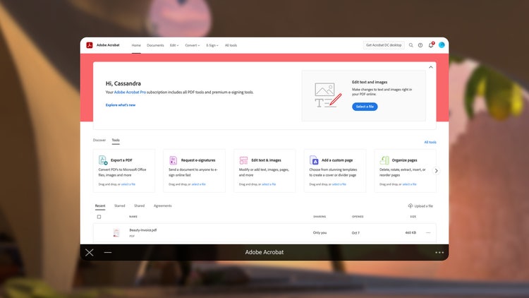 Image of Adobe Acrobat home page.