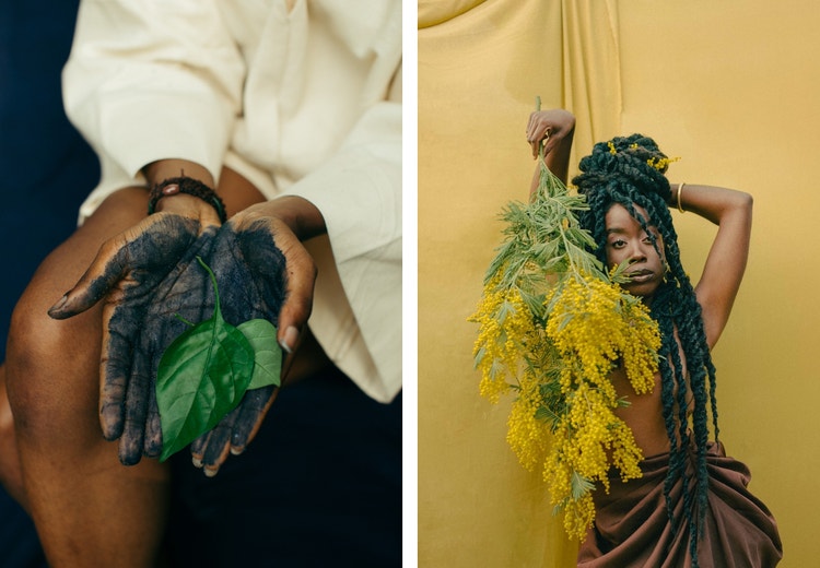 Left image: hands of a person holding an indigo plant, Right image: Headshot of Christina Nwabigo.