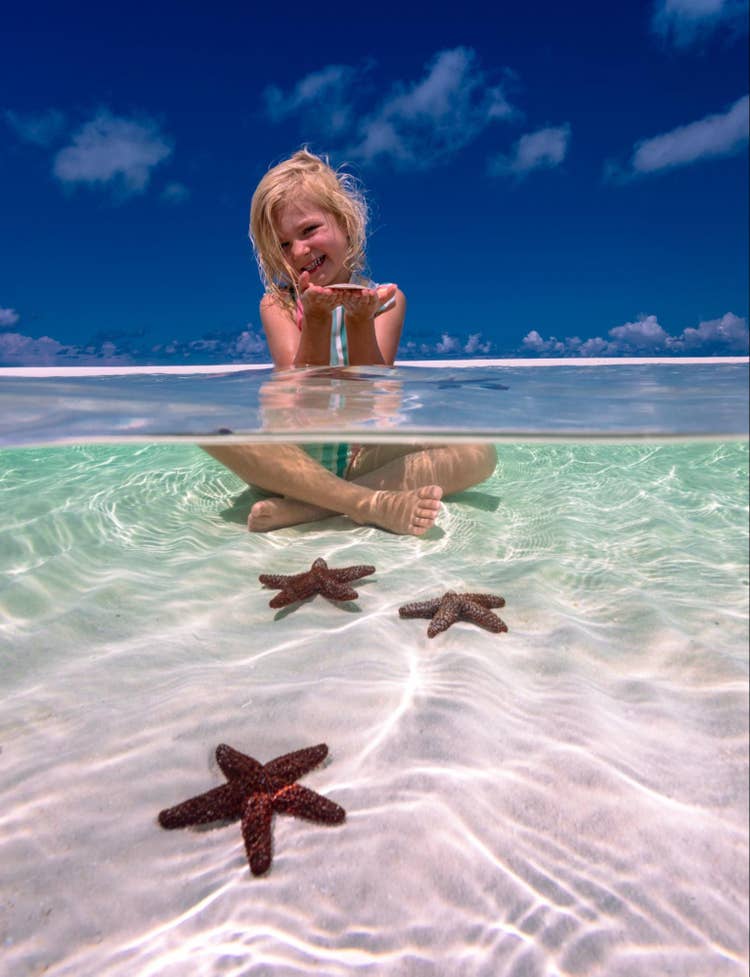 Over-under shot of a child at the beach smiling and holding a bleached sand dollar. Three live starfish can be seen in the foreground.