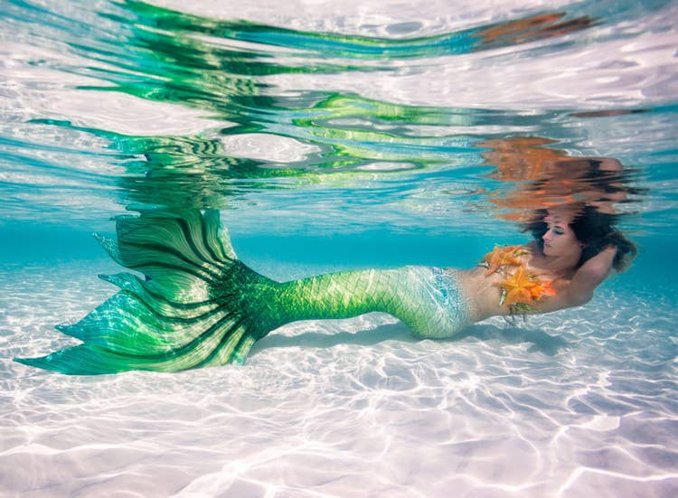 Underwater photo of a mermaid looking down at her fluke.