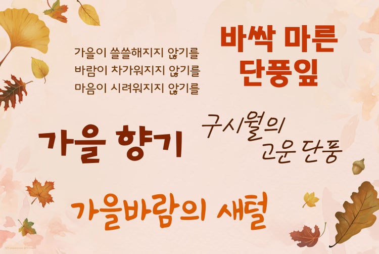 New fonts included in your Adobe Creative Cloud subscription.