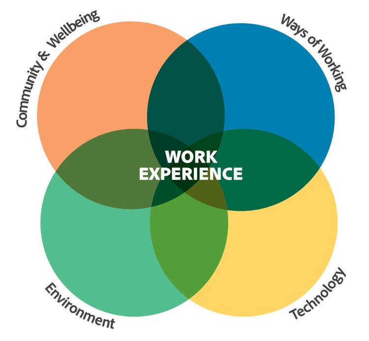 Circle graph of Work Experience.
