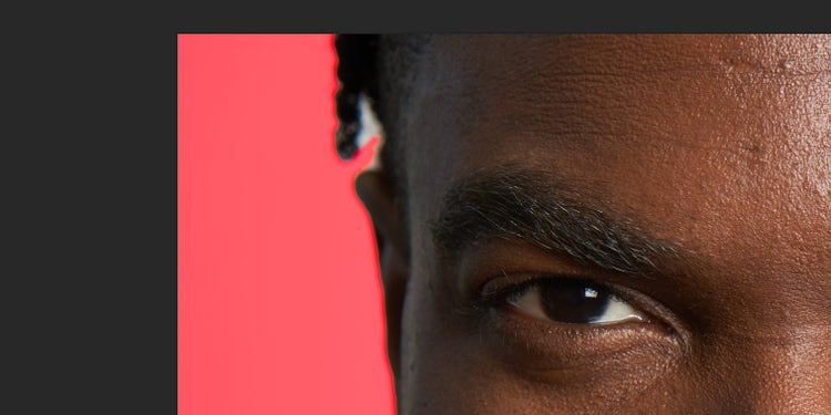 Image taken by Tony Gale.