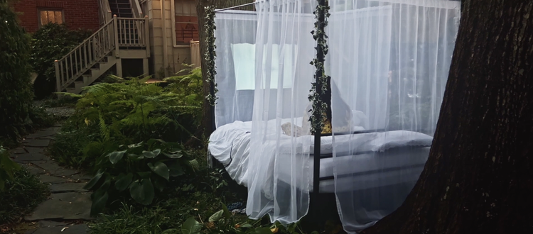 Still from 'How to Dream in Georgia'