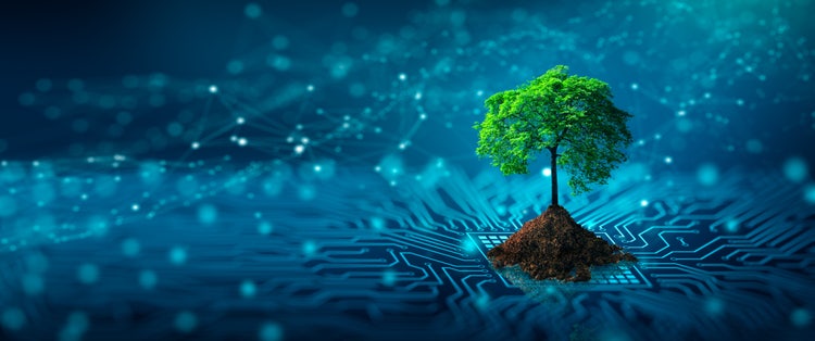 Tree with soil growing on the converging point of computer circuit board.