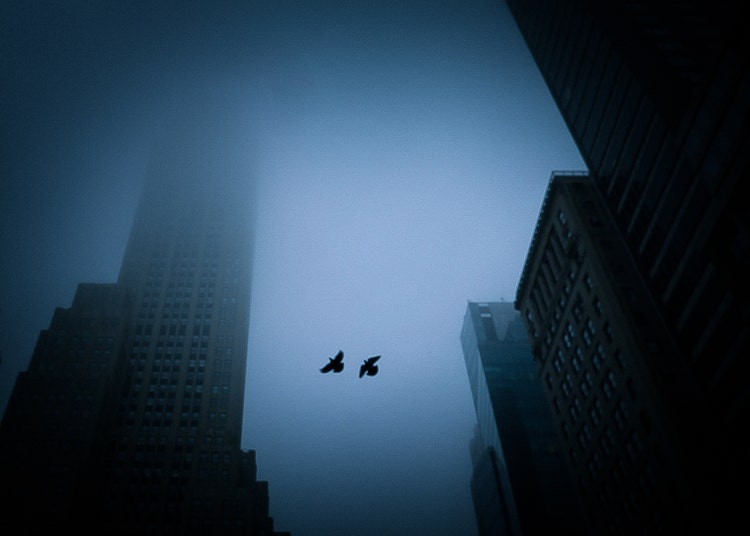 Vignette created using Photoshop.