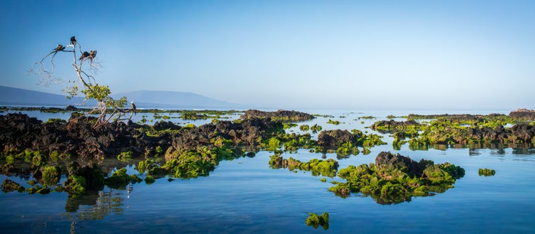 Image of a mass of water and rocks.