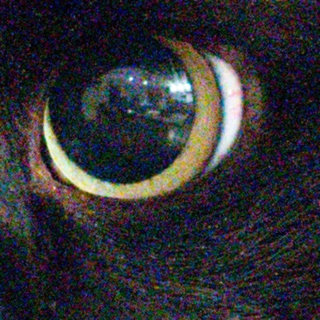 Closeup of a cat's eye.
