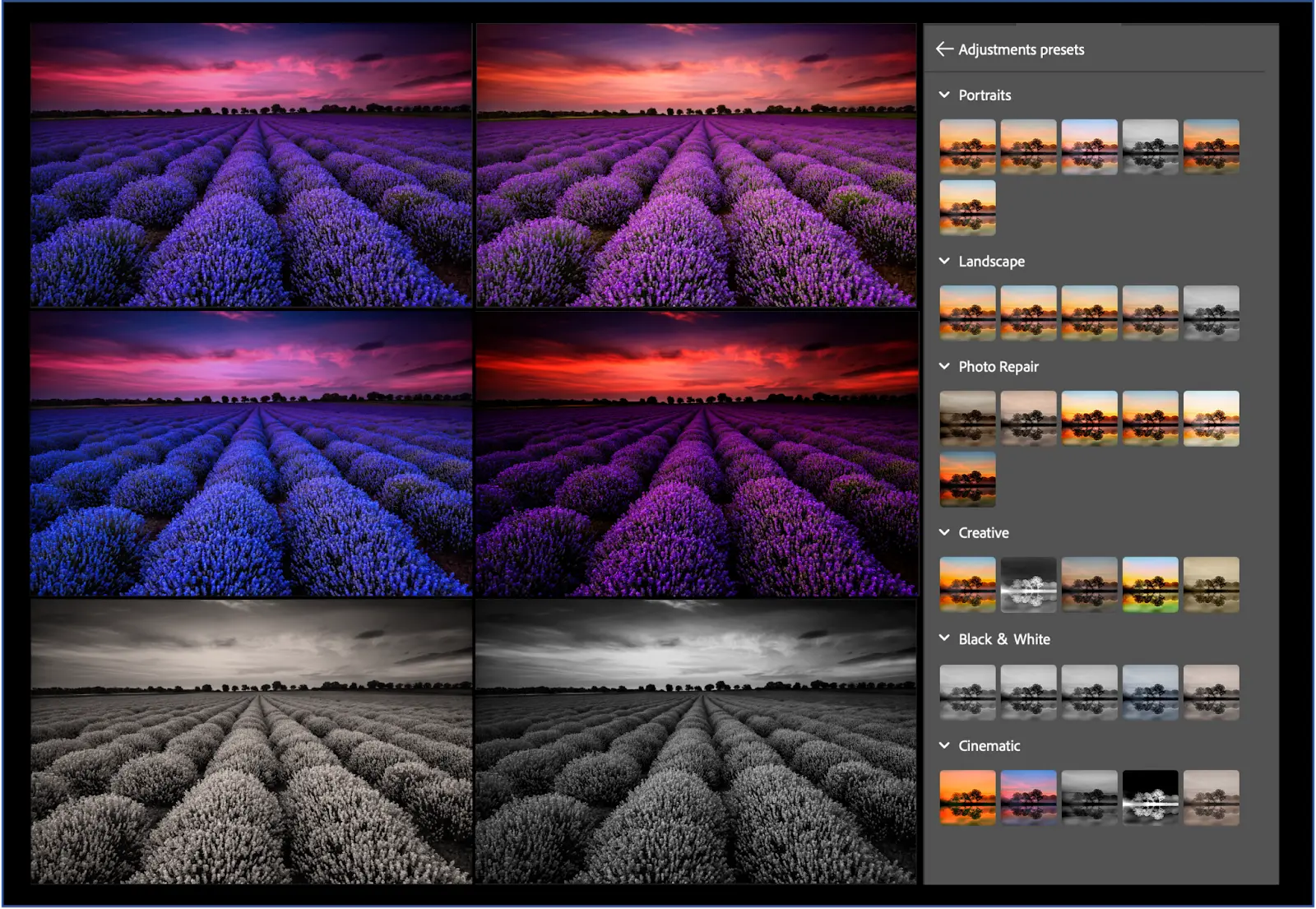 Adobe Firefly Beta features  Image Credit : Adobe