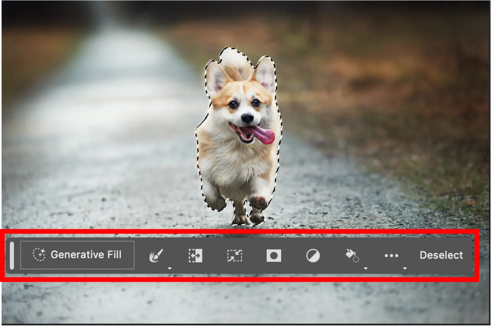 Adobe Firefly Beta features  Image Credit : Adobe