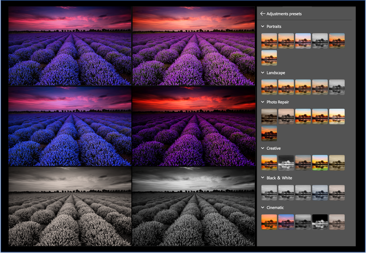 Image showing Adjustments presets.