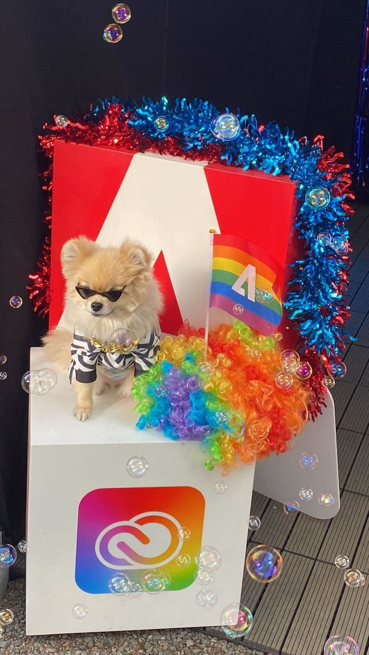 Adobe Japan was a proud sponsor of Tokyo Rainbow Pride (TRP).