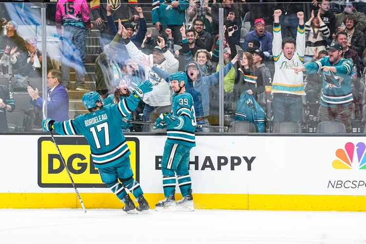 Amanda Cain and her diverse photography team behind the San Jose Sharks