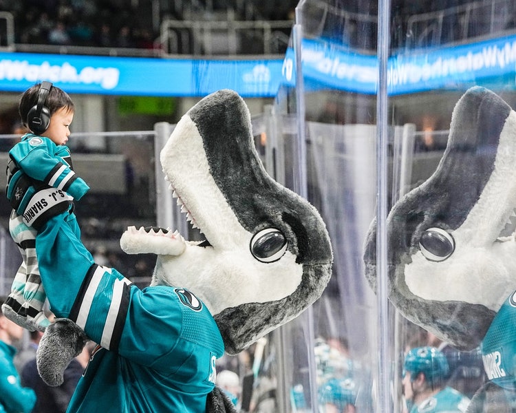 Amanda Cain and her diverse photography team behind the San Jose Sharks