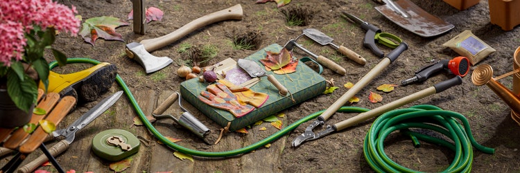 Image made with the Substance 3D Assets Garden Collection.