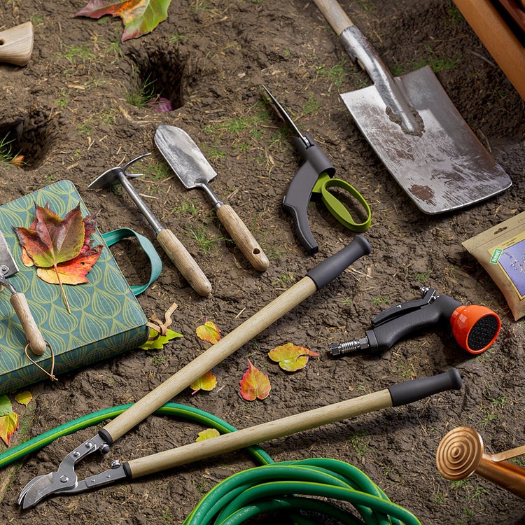 Image made with the Substance 3D Assets.