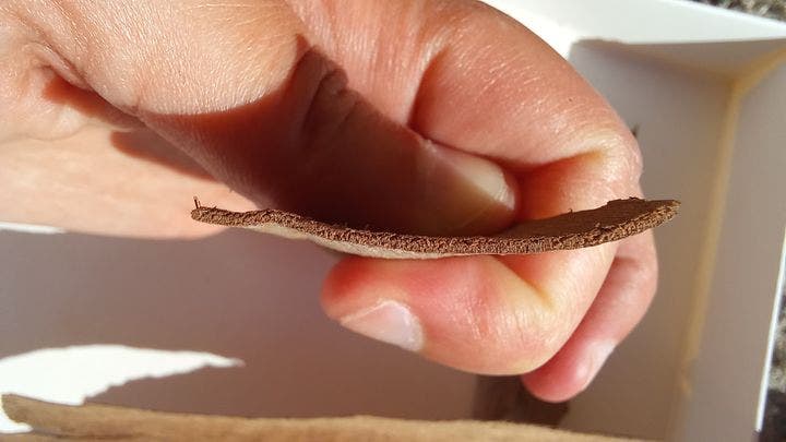 Adobe Substance 3D team creates a stop-motion-style animated demo, powered by the Substance 3D ecosystem.