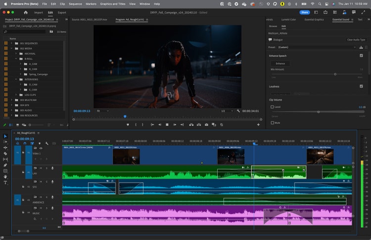 Premiere Pro screen and workflow.