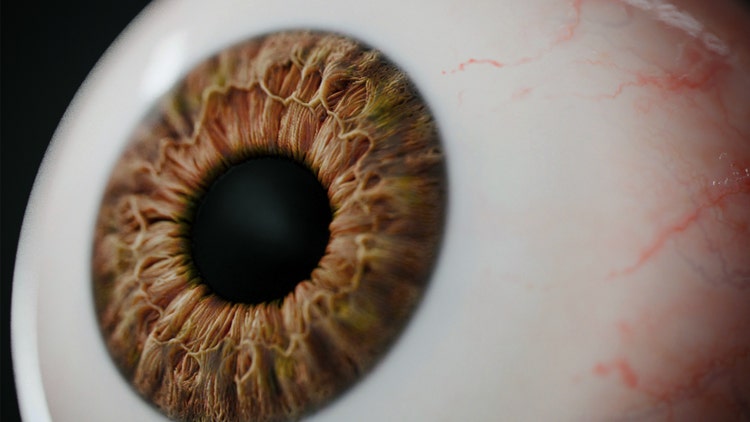 Image of an eye created using Parametric human eye generator.