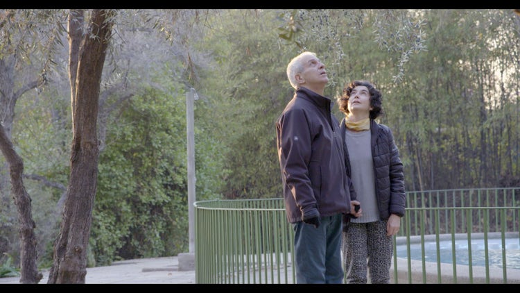 Still image from Oscar-nominated documentary “The Eternal Memory”.