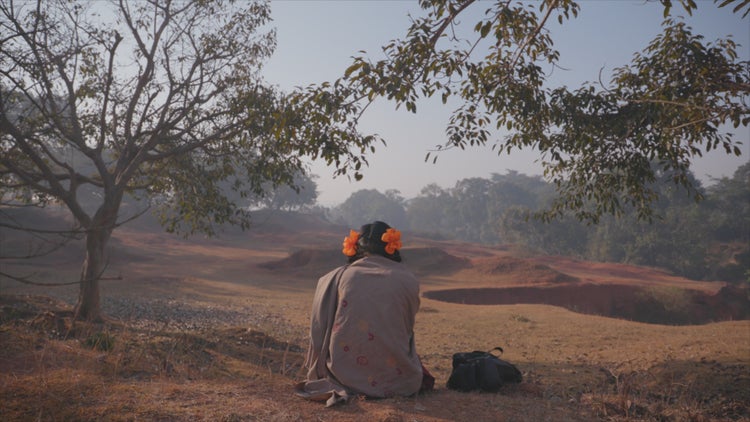Still image from “To Kill a Tiger”.