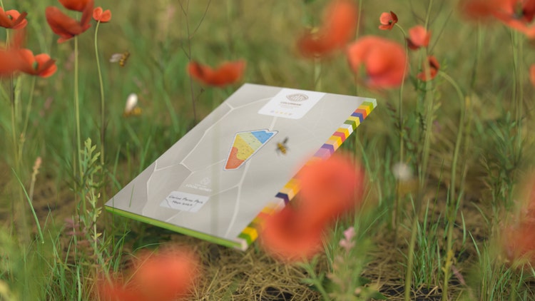 Image of a packaging design concept.