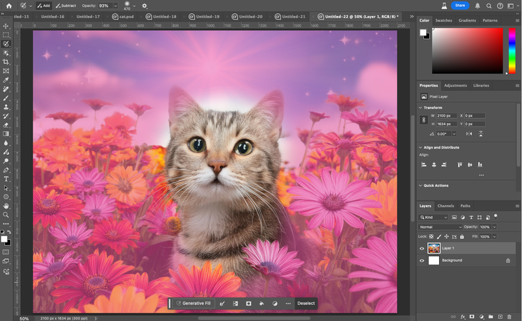 Image of cat in a field of flowers in Photoshop.