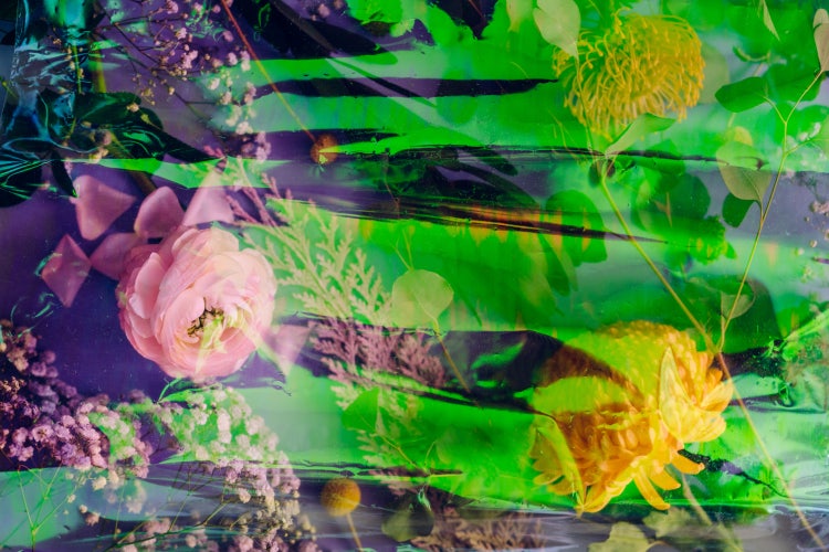 Unusual overhead gradient view of variety of flowers (ranunculus, chrysanthemum, gypsophila, eucalyptus).