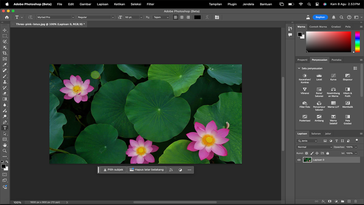 Image of Lilypads being edited in Indonesian Adobe Photoshop interface