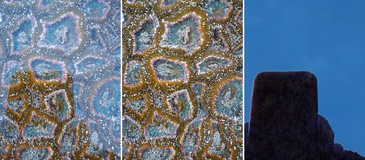 Before and after of Reflection removal in a photograph of a tidepool.