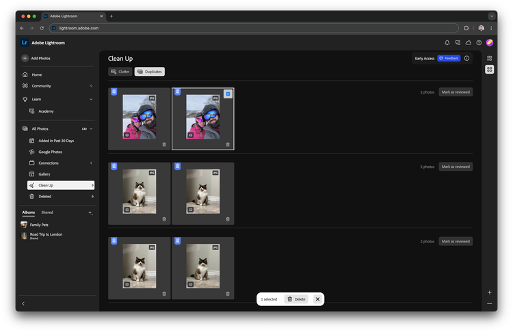 Cleanup feature in Adobe Lightroom.