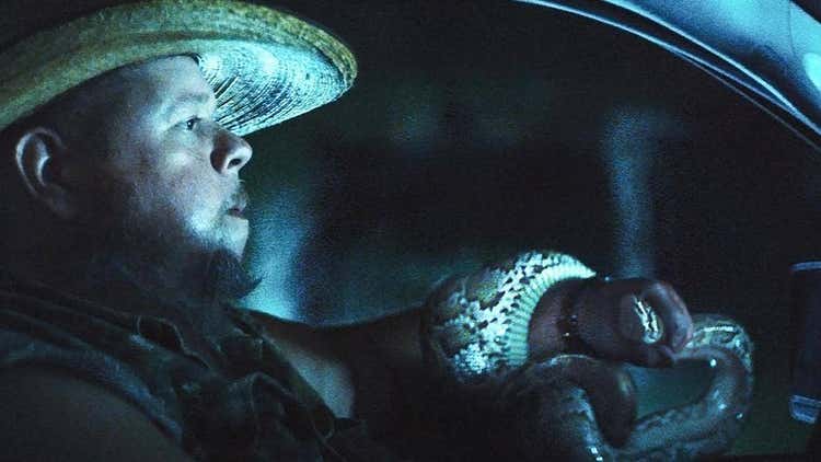 Still image from "The Python Hunt".