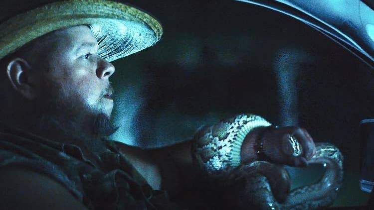 Still image from "The Python Hunt".