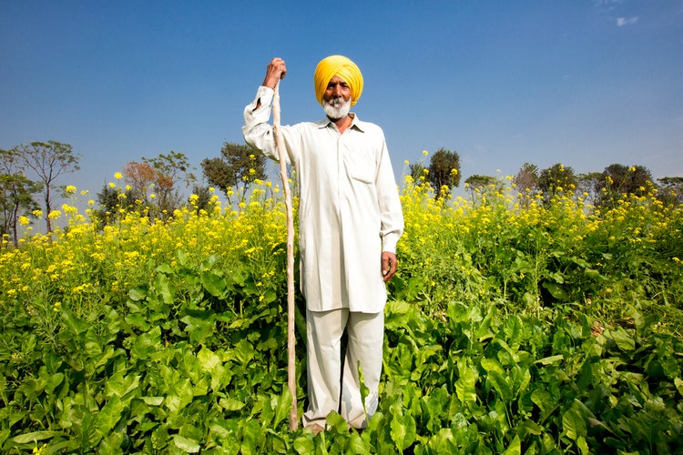 Photograph of man standing in a field of green holding a stick taken by Esther Havens Mann