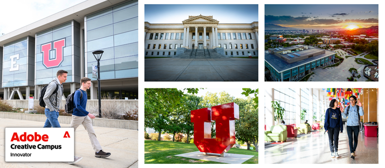 Adobe Creative Campus Innovator.