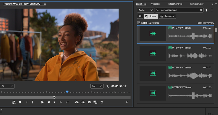 Image created using Adobe Premiere 25.6