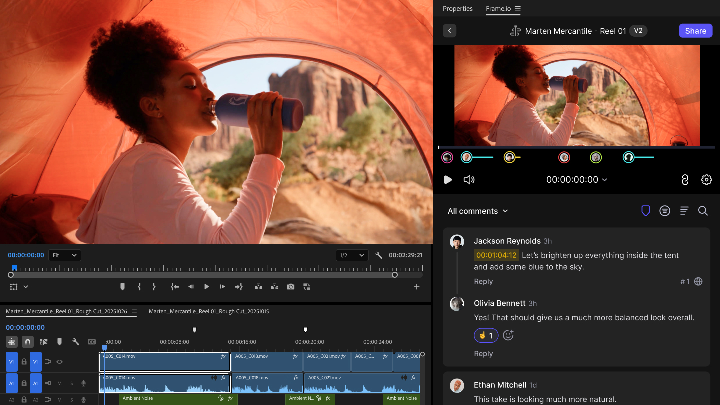 Adobe Premiere Pro 25.6 - Newsshooter