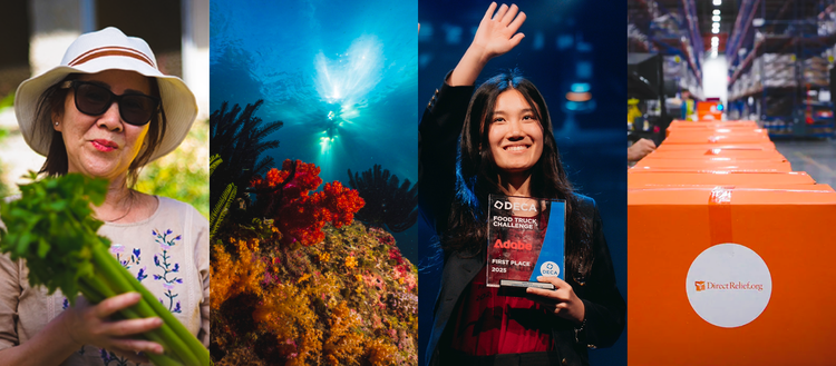 Collage of images of Nonprofits around the world.