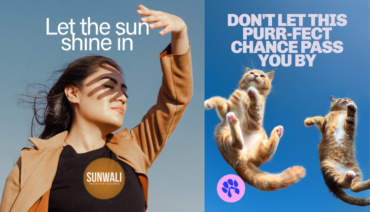 All the Feels Creative Trend. Woman shielding herself from the sun. Two cats jumping in the air.