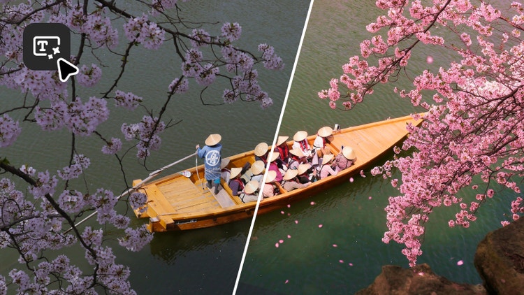 Adobe Stock image of boat under cherry blossoms.