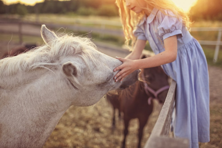 Young girl petting a horse