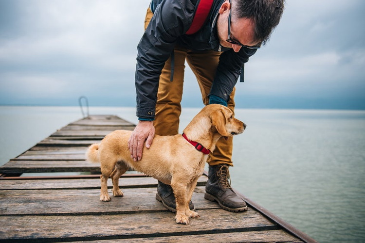Man with his dog standing on dock