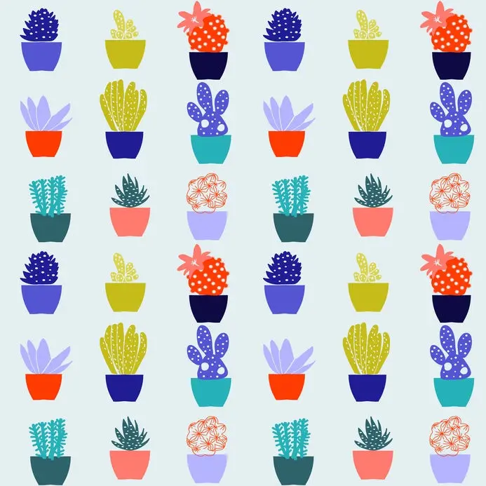 Flat pattern of cactus house plants in pots