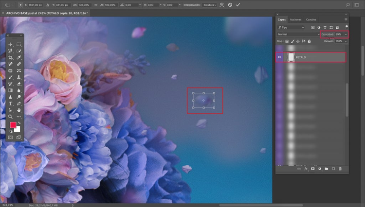 opacidad de una imagen y elementos en Photoshop
