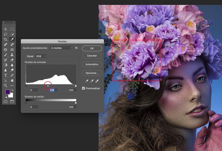 fotografia del rostro de una mujer sobre su cabeza un ramo de flores de color rosa y morado, luminosidad en Photoshop