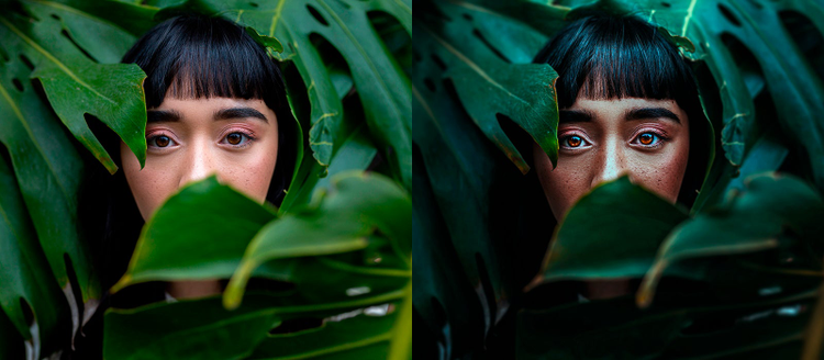 Dos imagenes del rostro de una joven asiatica detras de unas hojas verdes de un arbol primera imágen si efecto segunda imagen con efecto dramatico en en photoshop 