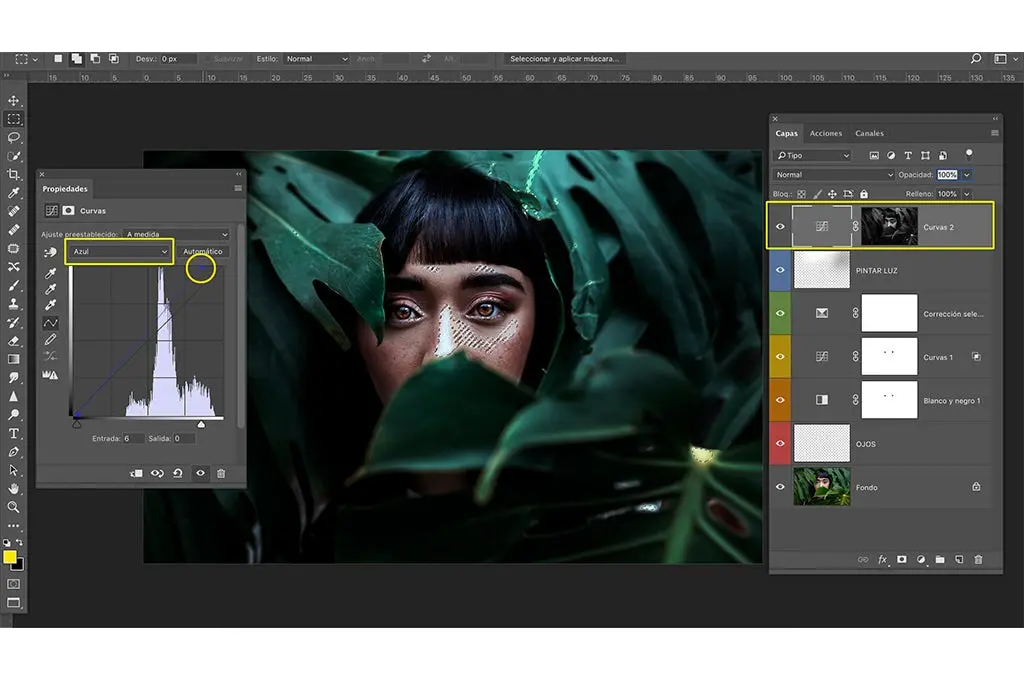 interfaz photoshop en edicion la imagen de una joven asiatica detras de unas hojas verdes de un arbol seccion propiedades canal de color 
