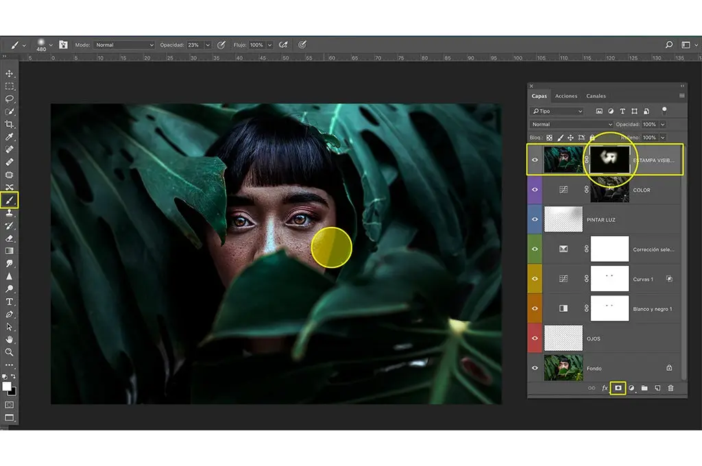 interfaz photoshop en edicion la imagen de una joven asiatica sobre la imagen un circulo amarillo de edicion detras de unas hojas verdes de un arbol camera raw efecto dramatico 